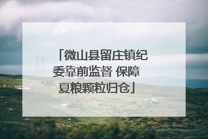 微山县留庄镇纪委靠前监督 保障夏粮颗粒归仓