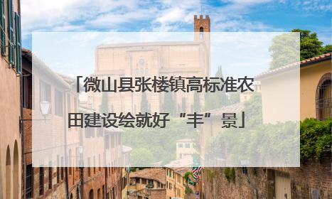 微山县张楼镇高标准农田建设绘就好“丰”景