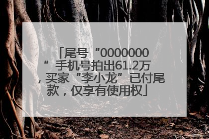 尾号“0000000”手机号拍出61.2万，买家“李小龙”已付尾款，仅享有使用权