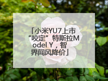 小米YU7上市“咬定”特斯拉Model Y，智界闻风降价