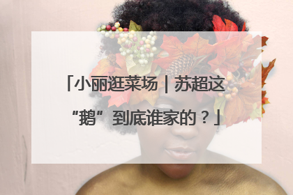 小丽逛菜场｜苏超这“鹅”到底谁家的？