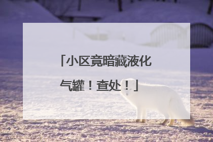 小区竟暗藏液化气罐！查处！