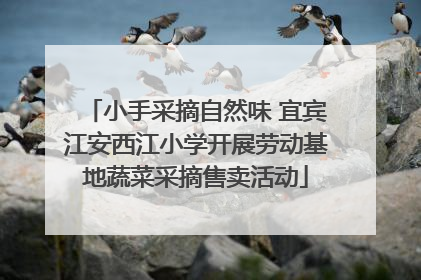 小手采摘自然味 宜宾江安西江小学开展劳动基地蔬菜采摘售卖活动