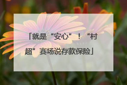 就是“安心”！“村超”赛场说存款保险
