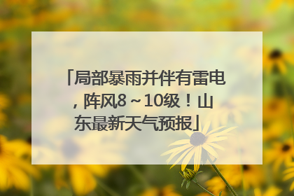 局部暴雨并伴有雷电，阵风8～10级！山东最新天气预报