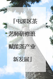 屯溪区茶艺师研修班赋能茶产业新发展