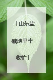 山东盐碱地里丰收忙