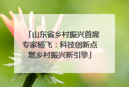 山东省乡村振兴首席专家杨飞：科技创新点燃乡村振兴新引擎