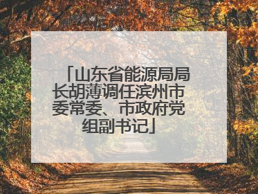 山东省能源局局长胡薄调任滨州市委常委、市政府党组副书记