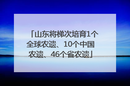 山东将梯次培育1个全球农遗、10个中国农遗、46个省农遗