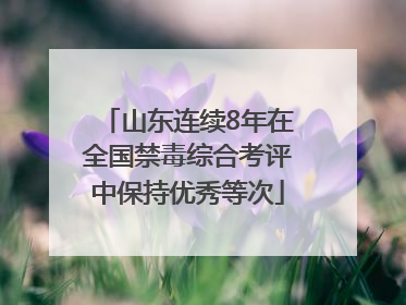 山东连续8年在全国禁毒综合考评中保持优秀等次