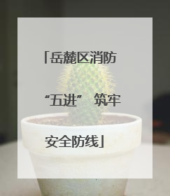 岳麓区消防 “五进” 筑牢安全防线