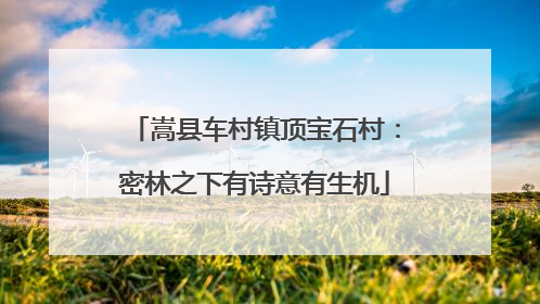嵩县车村镇顶宝石村：密林之下有诗意有生机