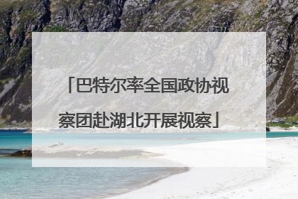 巴特尔率全国政协视察团赴湖北开展视察