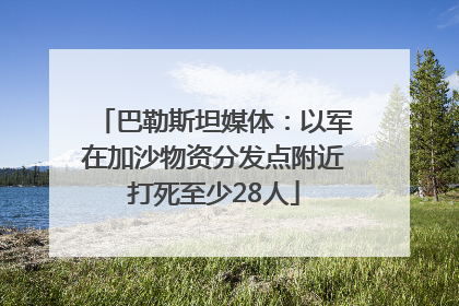 巴勒斯坦媒体：以军在加沙物资分发点附近打死至少28人