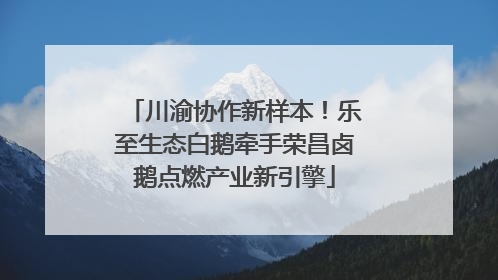 川渝协作新样本！乐至生态白鹅牵手荣昌卤鹅点燃产业新引擎