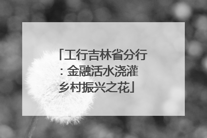 工行吉林省分行：金融活水浇灌 乡村振兴之花