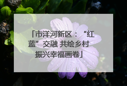 市洋河新区：“红蓝”交融 共绘乡村振兴幸福画卷