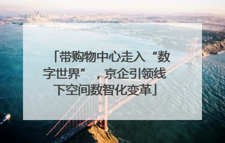 带购物中心走入“数字世界”，京企引领线下空间数智化变革