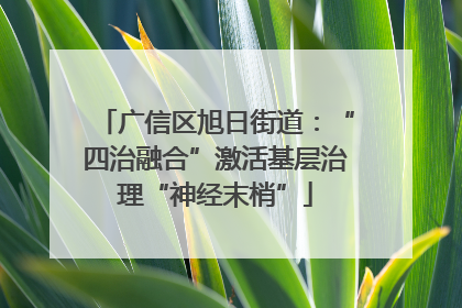 广信区旭日街道：“四治融合”激活基层治理“神经末梢”
