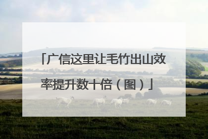 广信这里让毛竹出山效率提升数十倍（图）