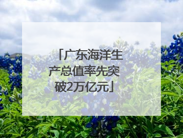 广东海洋生产总值率先突破2万亿元