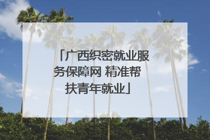 广西织密就业服务保障网 精准帮扶青年就业