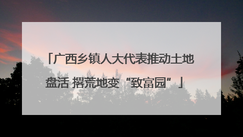 广西乡镇人大代表推动土地盘活 撂荒地变“致富园”