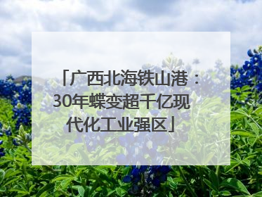 广西北海铁山港：30年蝶变超千亿现代化工业强区