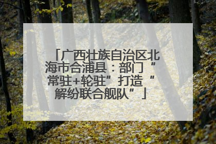 广西壮族自治区北海市合浦县：部门“常驻+轮驻”打造“解纷联合舰队”