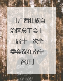 广西壮族自治区总工会十三届十二次全委会议在南宁召开