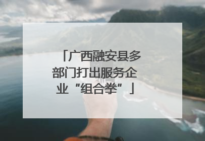 广西融安县多部门打出服务企业“组合拳”