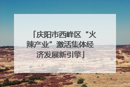 庆阳市西峰区“火辣产业”激活集体经济发展新引擎