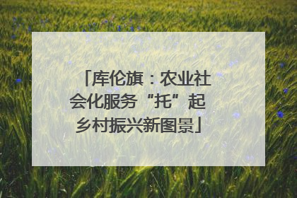 库伦旗：农业社会化服务“托”起乡村振兴新图景