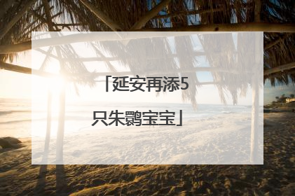 延安再添5只朱鹮宝宝