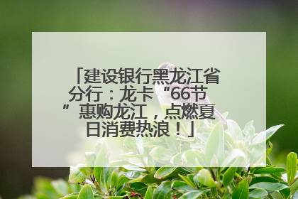 建设银行黑龙江省分行：龙卡“66节”惠购龙江，点燃夏日消费热浪！