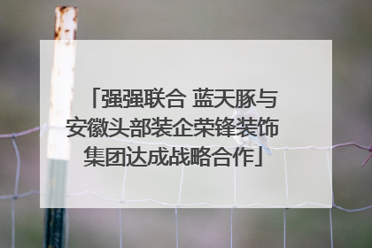 强强联合 蓝天豚与安徽头部装企荣锋装饰集团达成战略合作