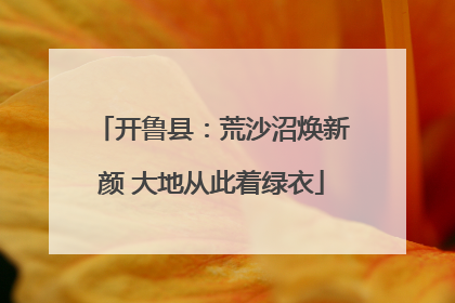 开鲁县：荒沙沼焕新颜 大地从此着绿衣