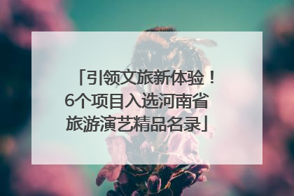引领文旅新体验！6个项目入选河南省旅游演艺精品名录