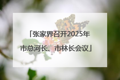 张家界召开2025年市总河长、市林长会议