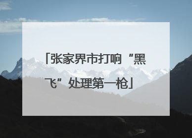 张家界市打响“黑飞”处理第一枪