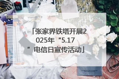 张家界铁塔开展2025年“5.17”电信日宣传活动