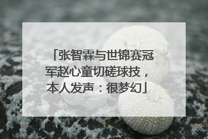 张智霖与世锦赛冠军赵心童切磋球技，本人发声：很梦幻