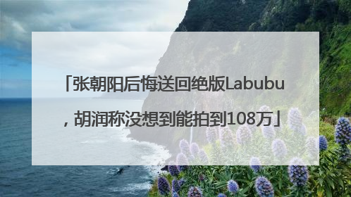 张朝阳后悔送回绝版Labubu，胡润称没想到能拍到108万