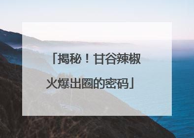 揭秘！甘谷辣椒火爆出圈的密码