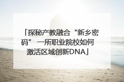 探秘产教融合“新乡密码” 一所职业院校如何激活区域创新DNA