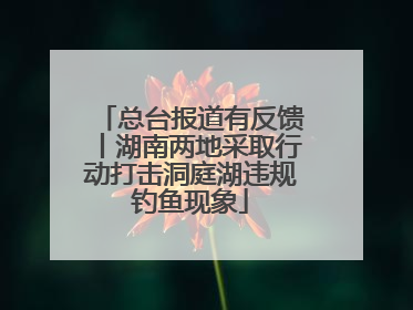 总台报道有反馈丨湖南两地采取行动打击洞庭湖违规钓鱼现象
