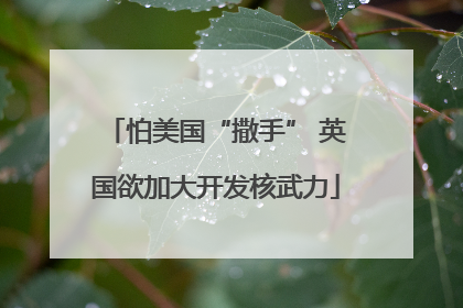 怕美国“撒手” 英国欲加大开发核武力