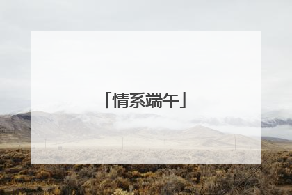 情系端午