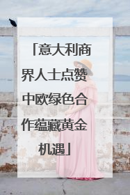意大利商界人士点赞中欧绿色合作蕴藏黄金机遇